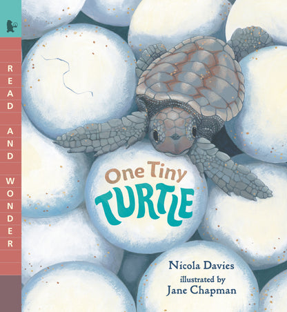 Ivy Kids Kit - One Tiny Turtle