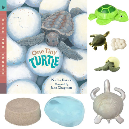 Ivy Kids Kit - One Tiny Turtle