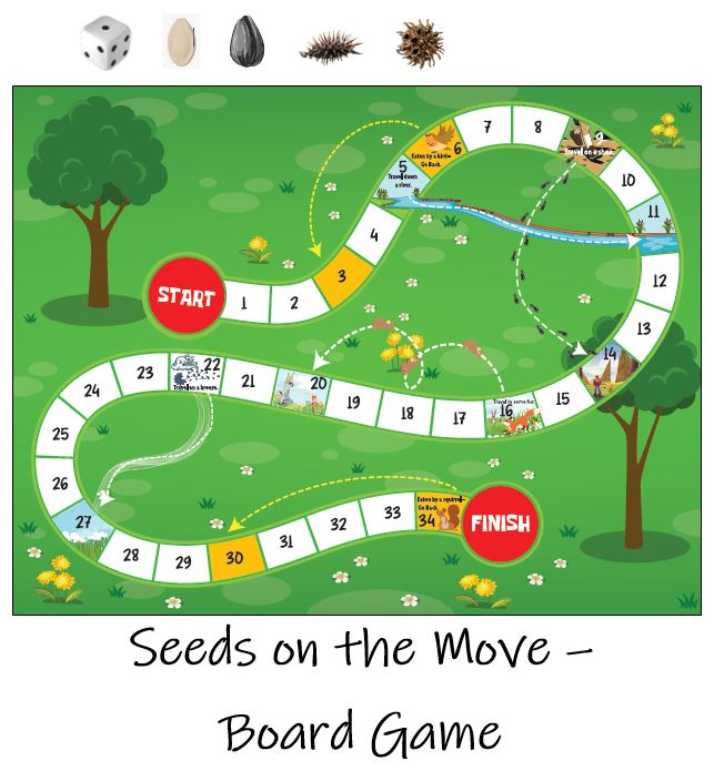 Nature and Seed Themed Board Game