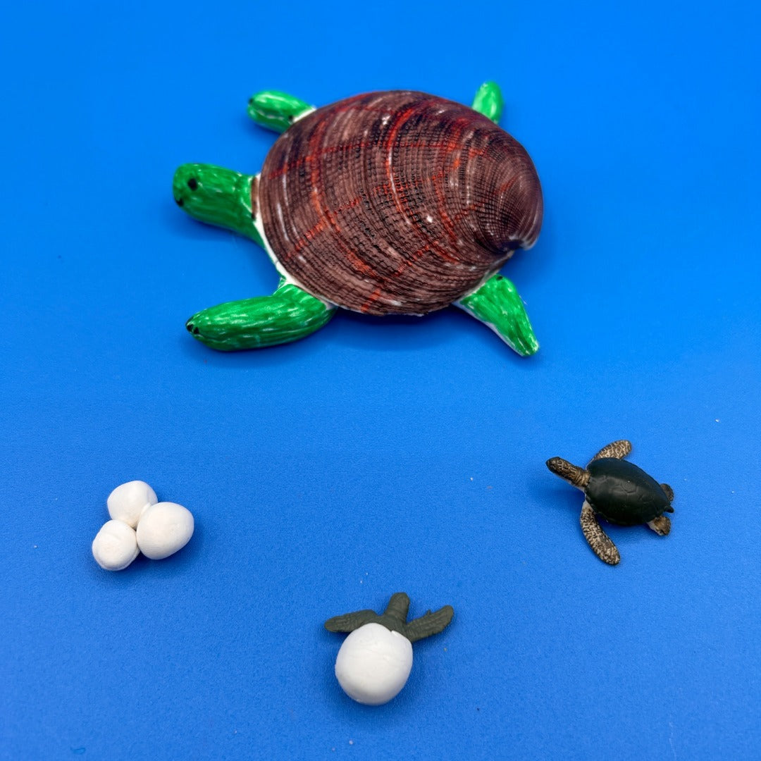 Ivy Kids Kit - One Tiny Turtle