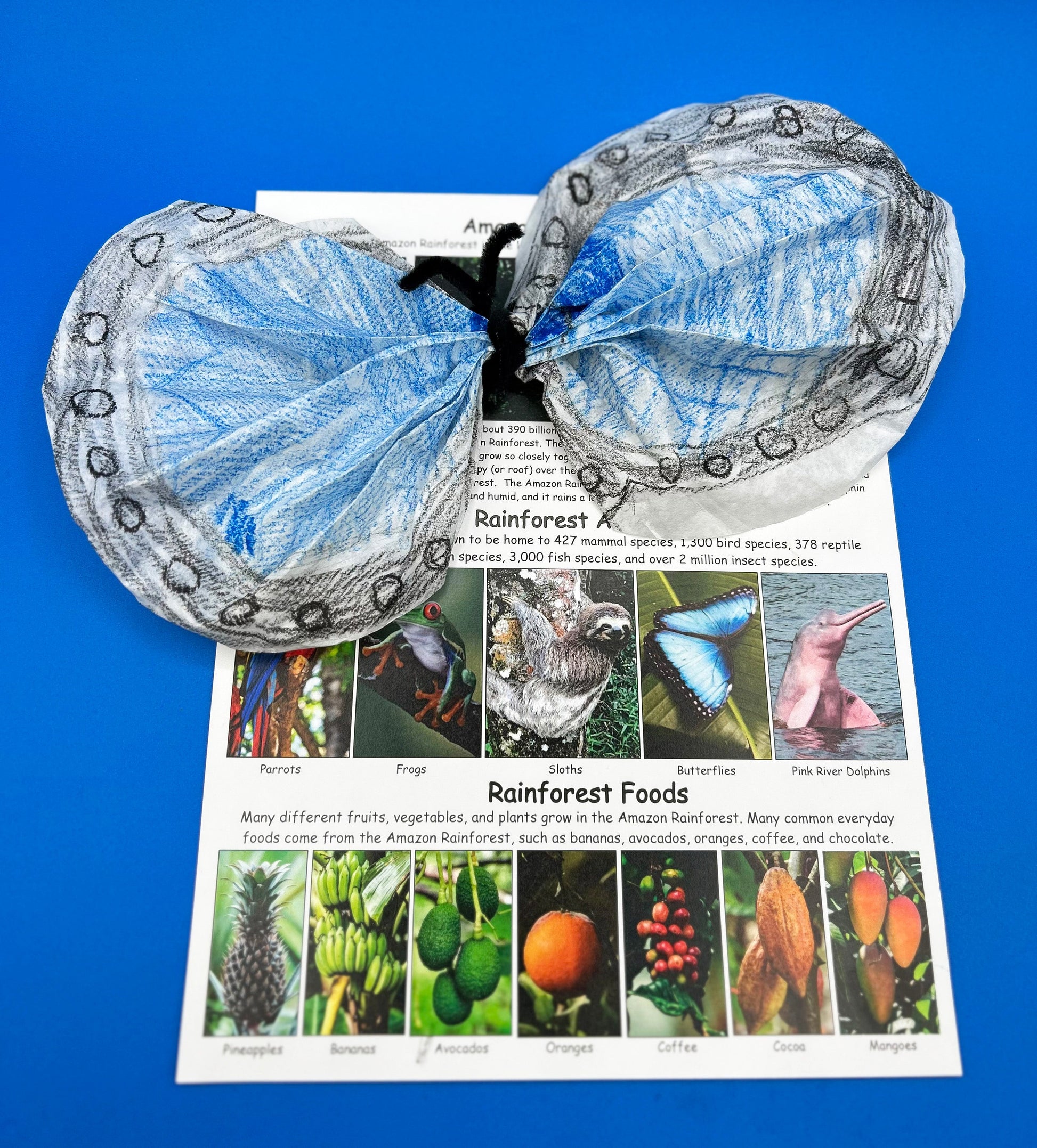 Create a Morpho Butterfly Craft