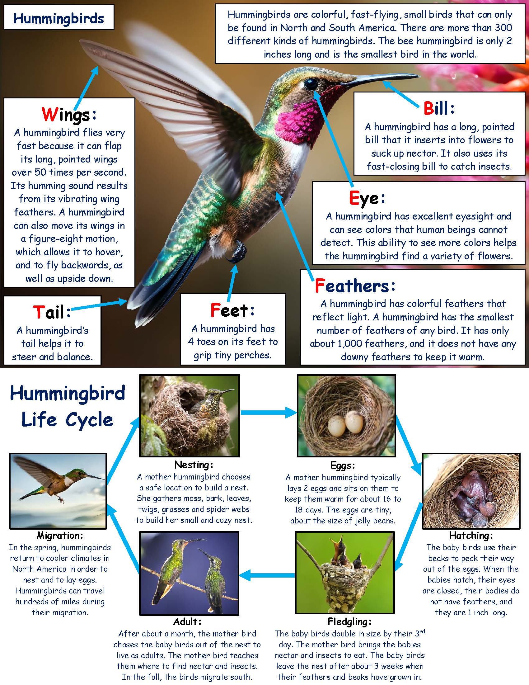 Ivy Kids Kit - My Tiny Life by Ruby T. Hummingbird