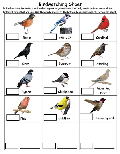 Kids bird watching sheet