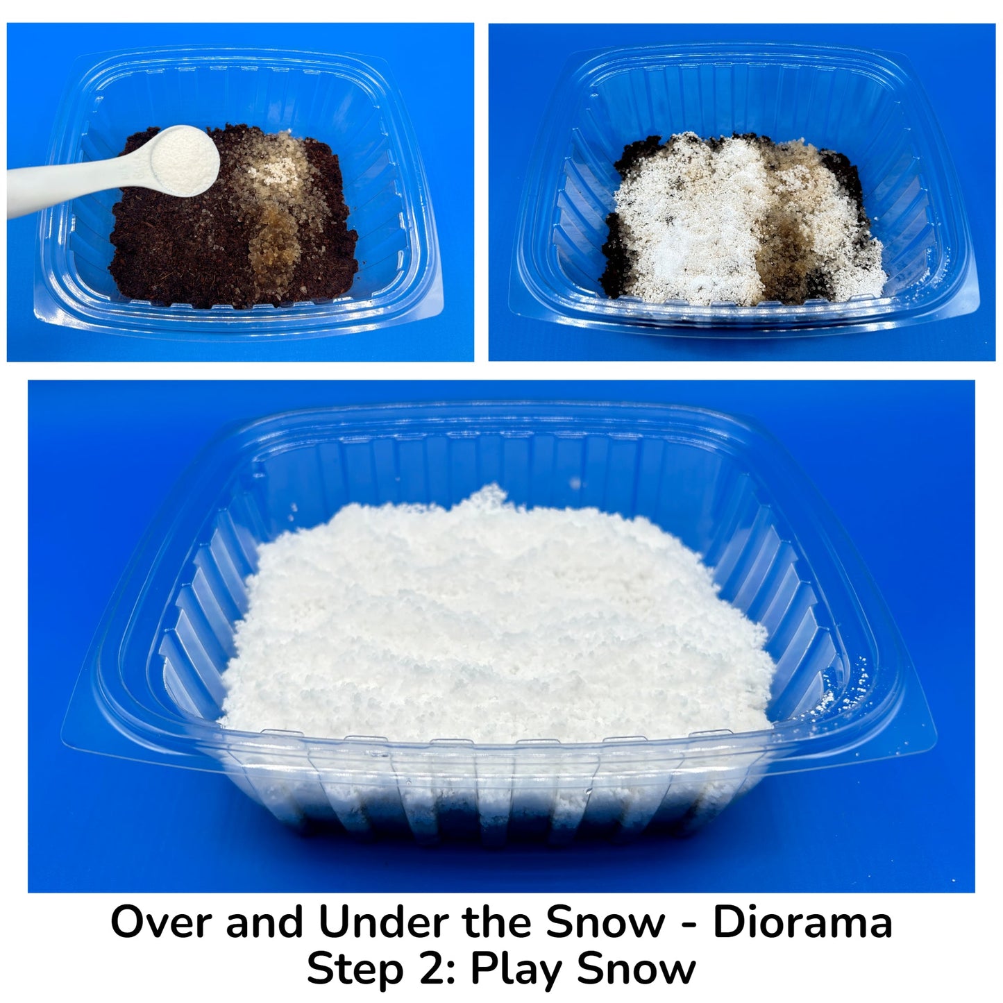 Over and Under the Snow Diorama