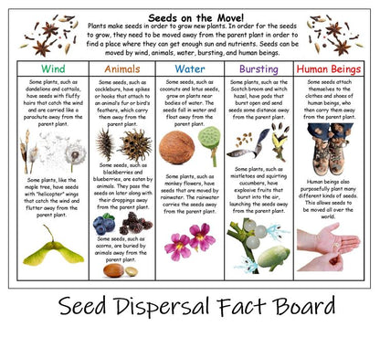 Seed Dispersal Fact Game