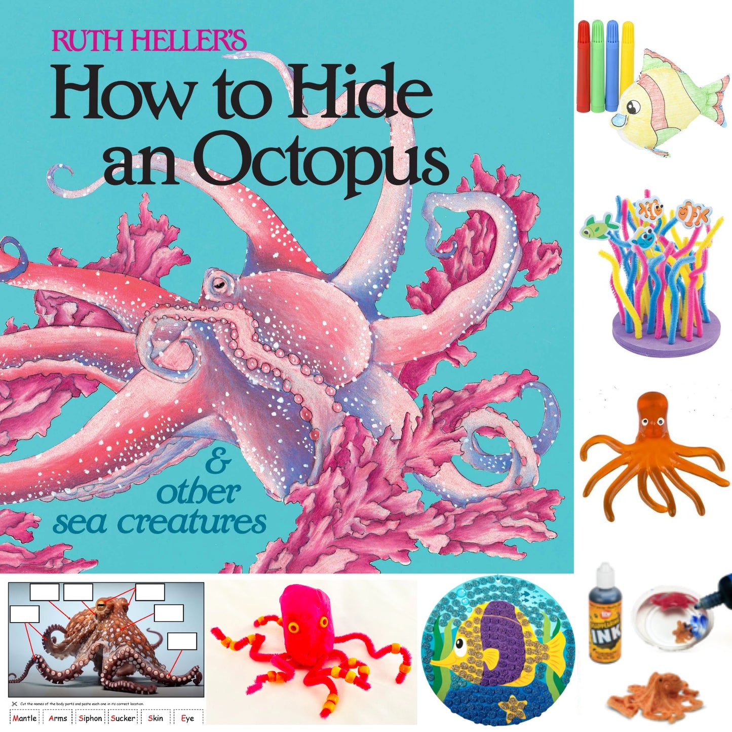 Octopus & Sea Creature themed activities