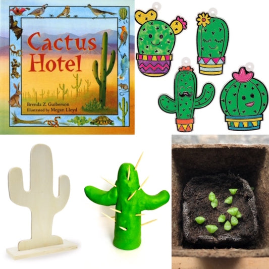 Cactus book and Cactus themed STEM activities for KIDS