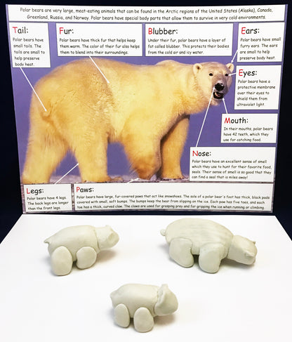 Polar bears made out of clay to go along with The Three Snow Bears