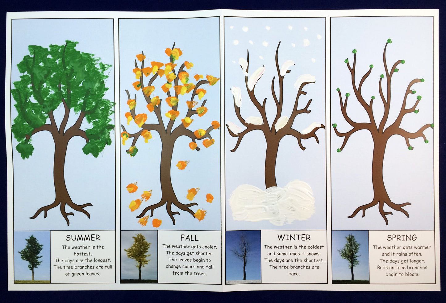 Science and art activity - Four seasons of a tree inspired by the book Leaves by David Ezra Stein