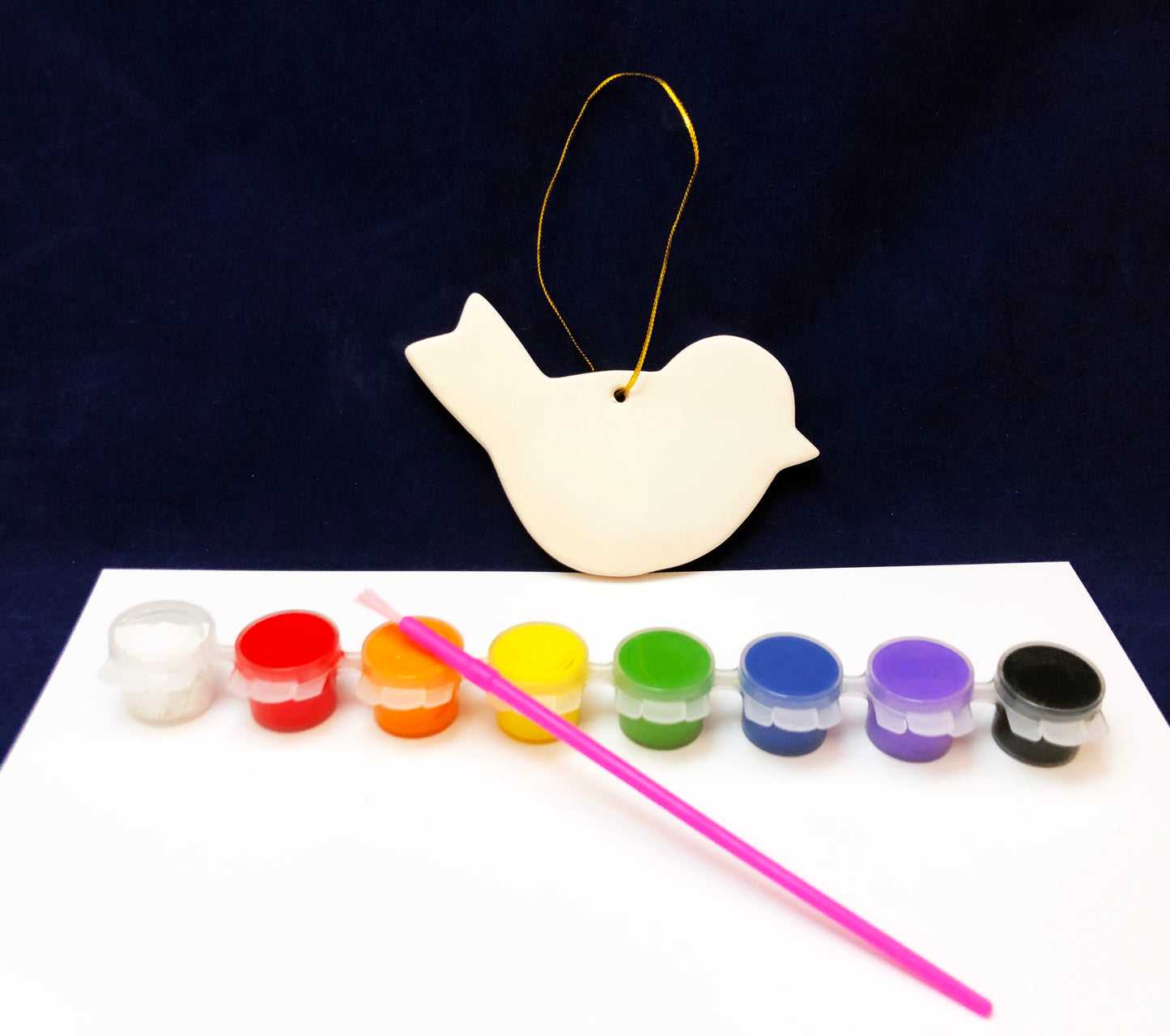 Ceramic Bird Art Activity