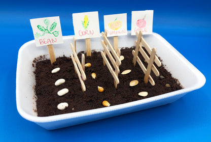 planting seeds kids activity