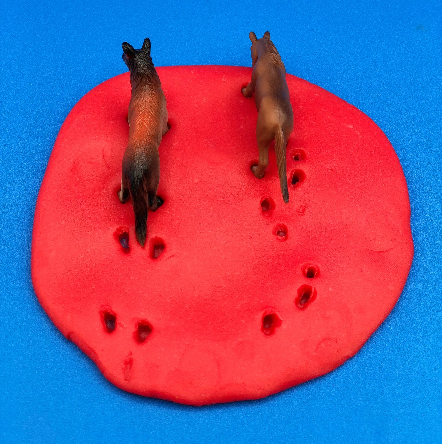 animal tracks in playdough
