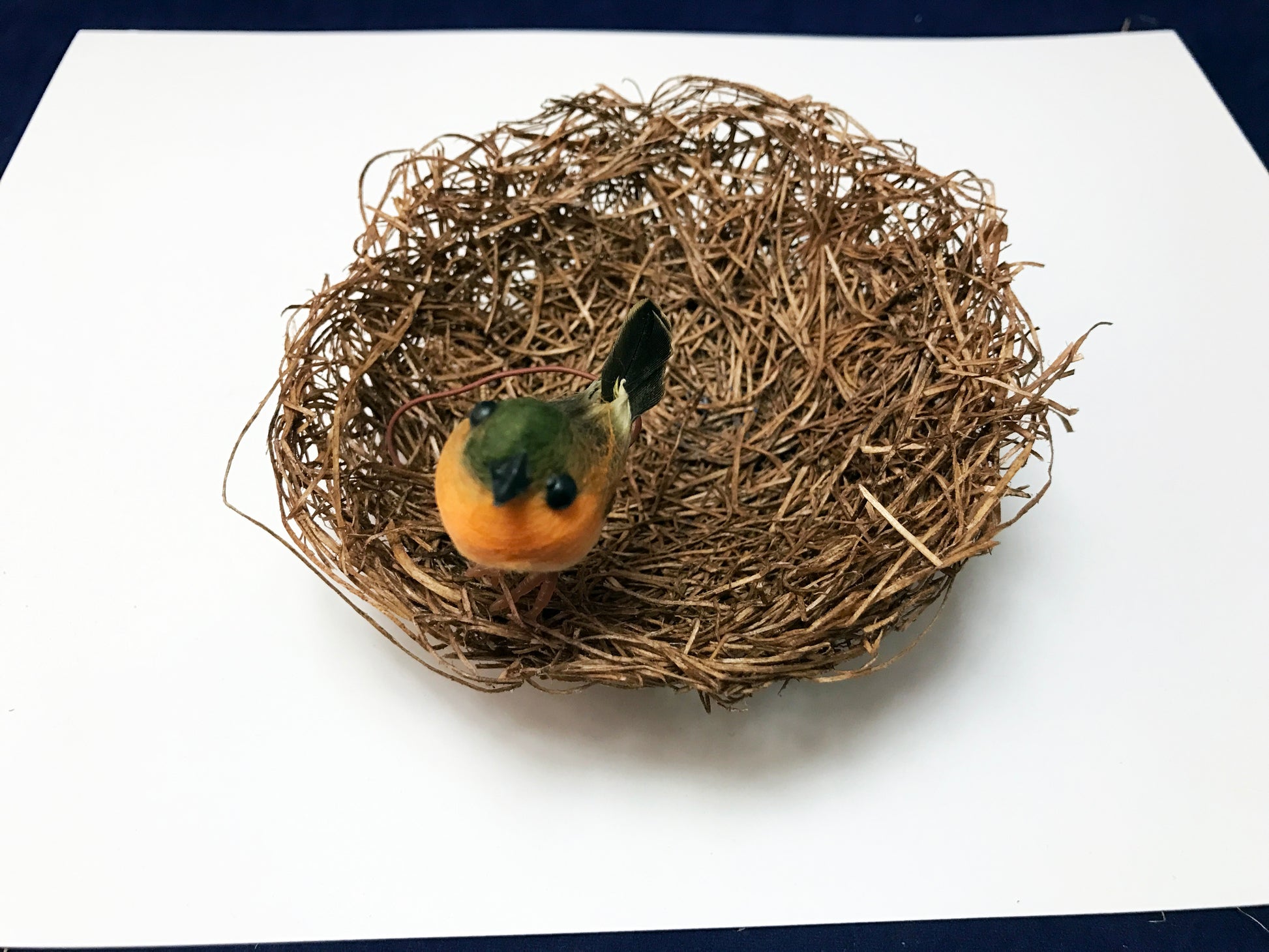 bird's nest art project
