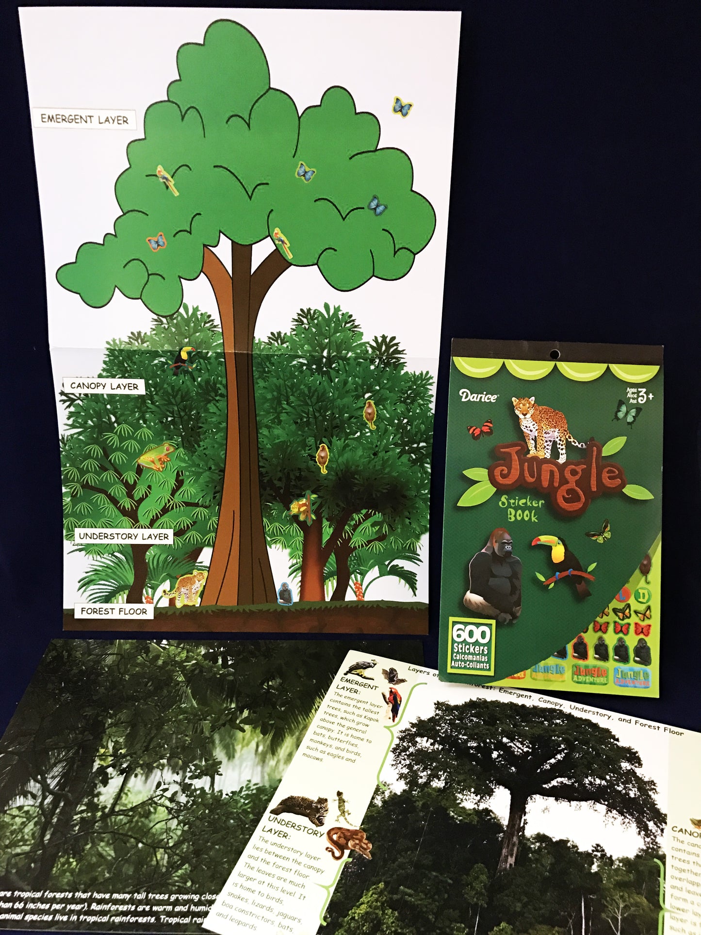 Ivy Kids kit - The Rainforest Grew All Around