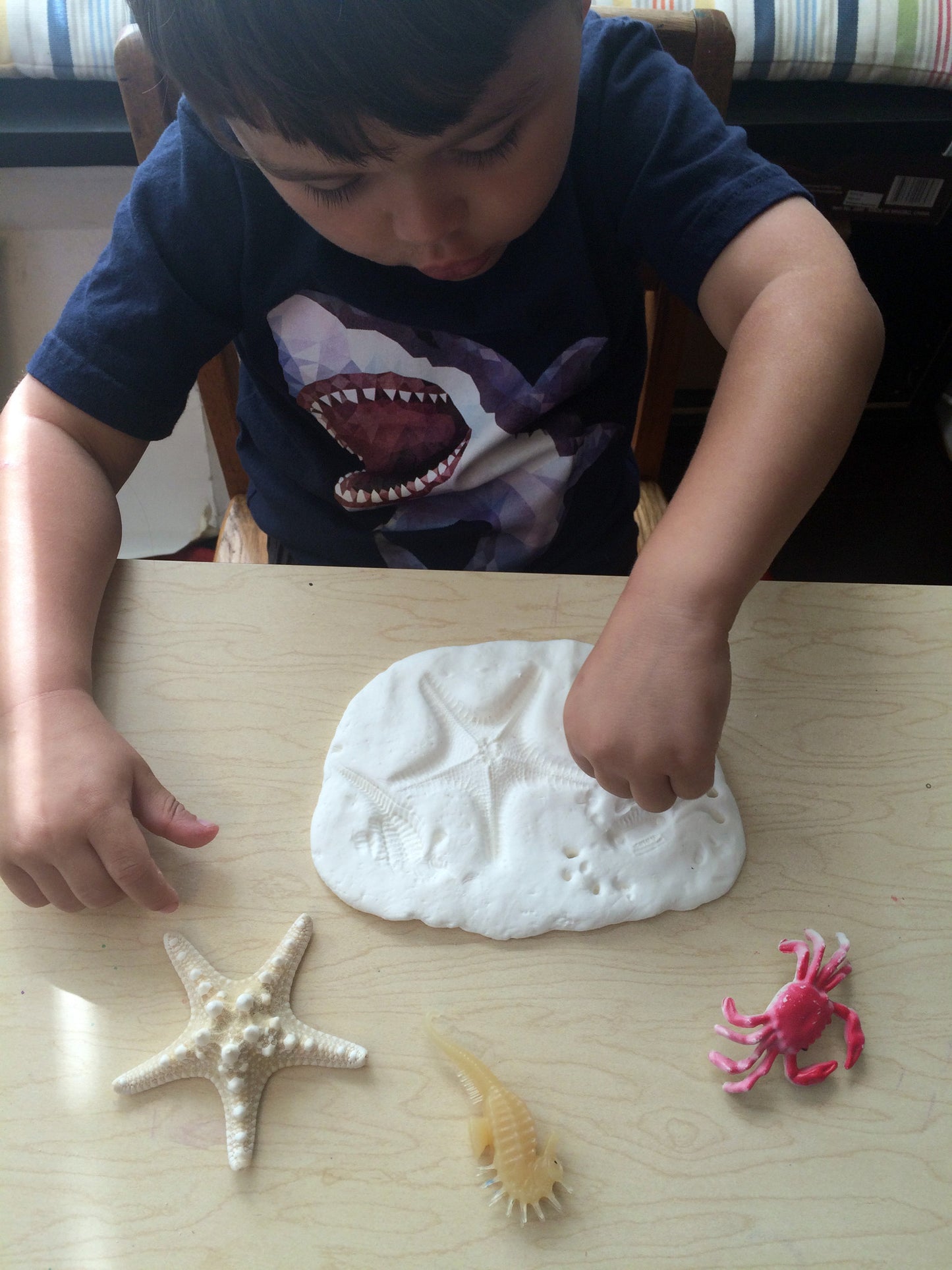 Science and art activity inspired by the book Over in an Ocean in a Coral Reef. Use sea creatures, starfish, and seashells to make clay imprints