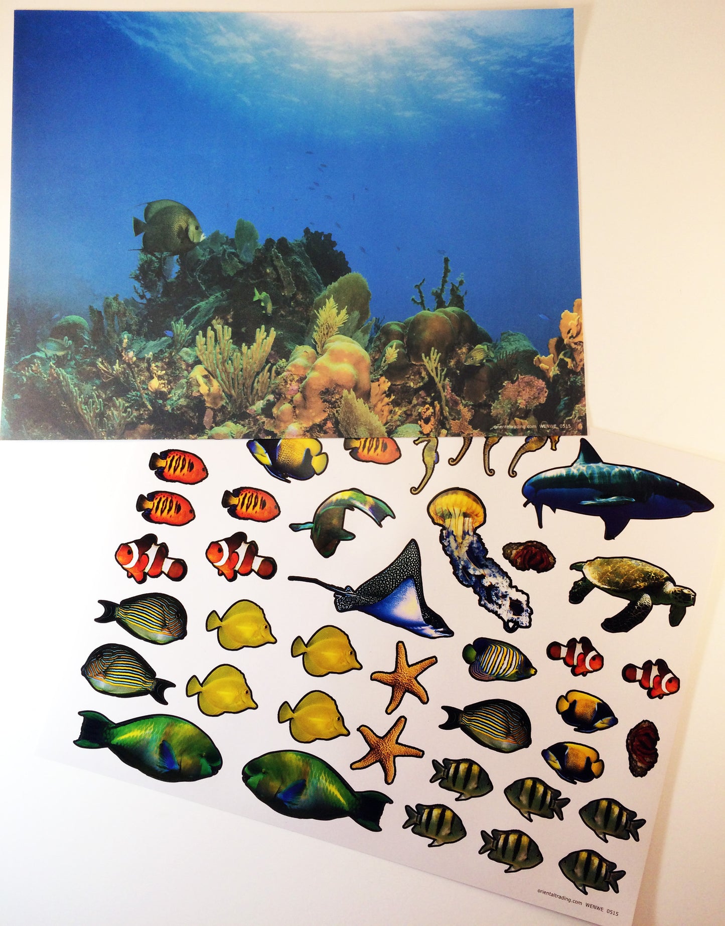 Inspired by the book Over in the Ocean in a Coral Reef: Create your own coral reef scene using stickers