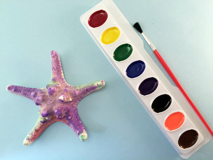 Science activity inspired by the book Over in an Ocean in a Coral Reef. Exploring and painting starfish.