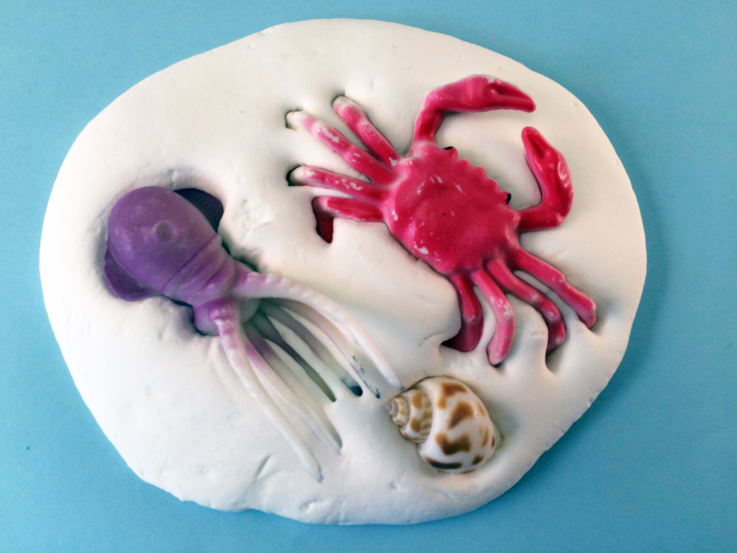Science and art activity inspired by the book Over in an Ocean in a Coral Reef. Use sea creatures, starfish, and seashells to make clay imprints