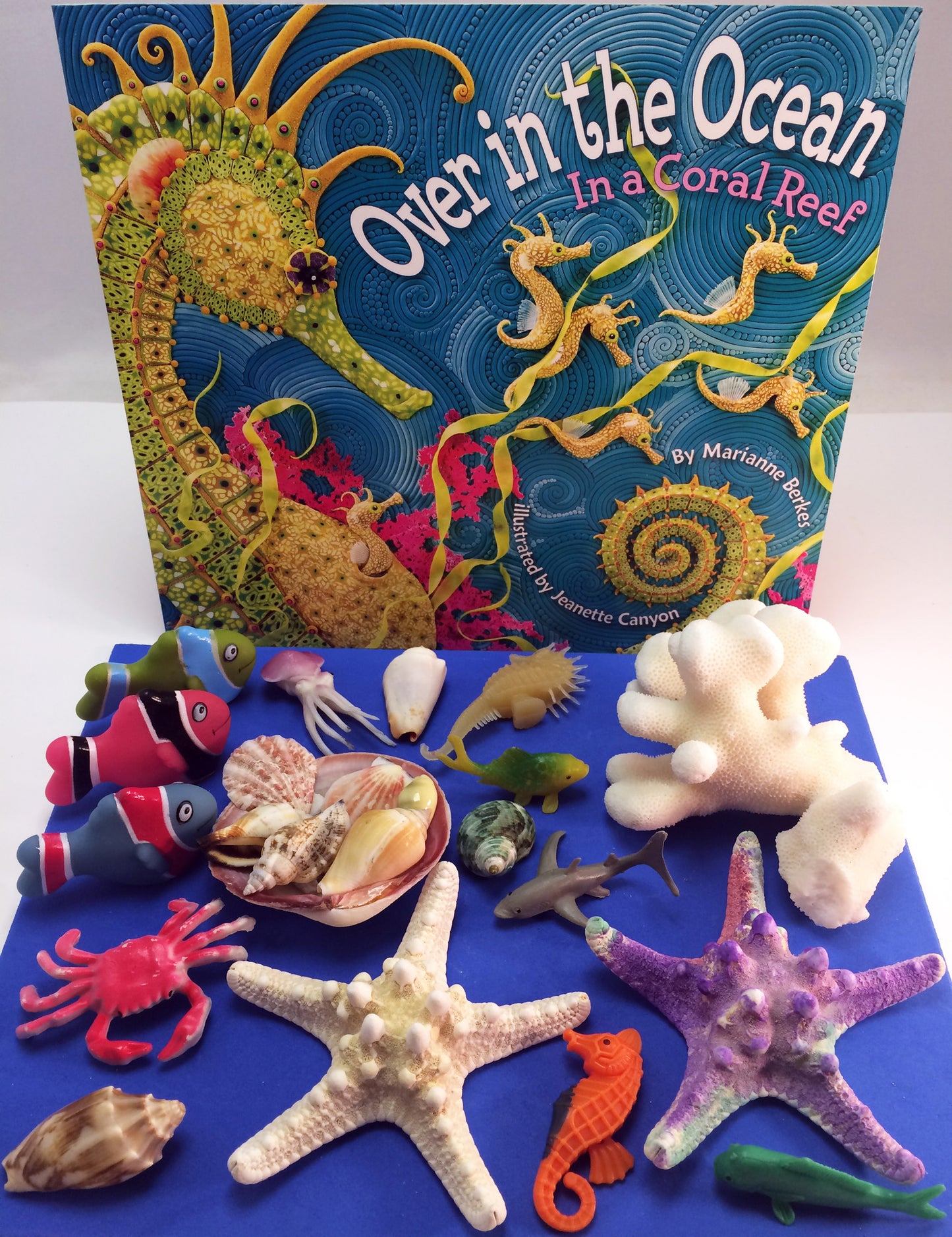 Coral reef themed Fun and educational activities and games for kids