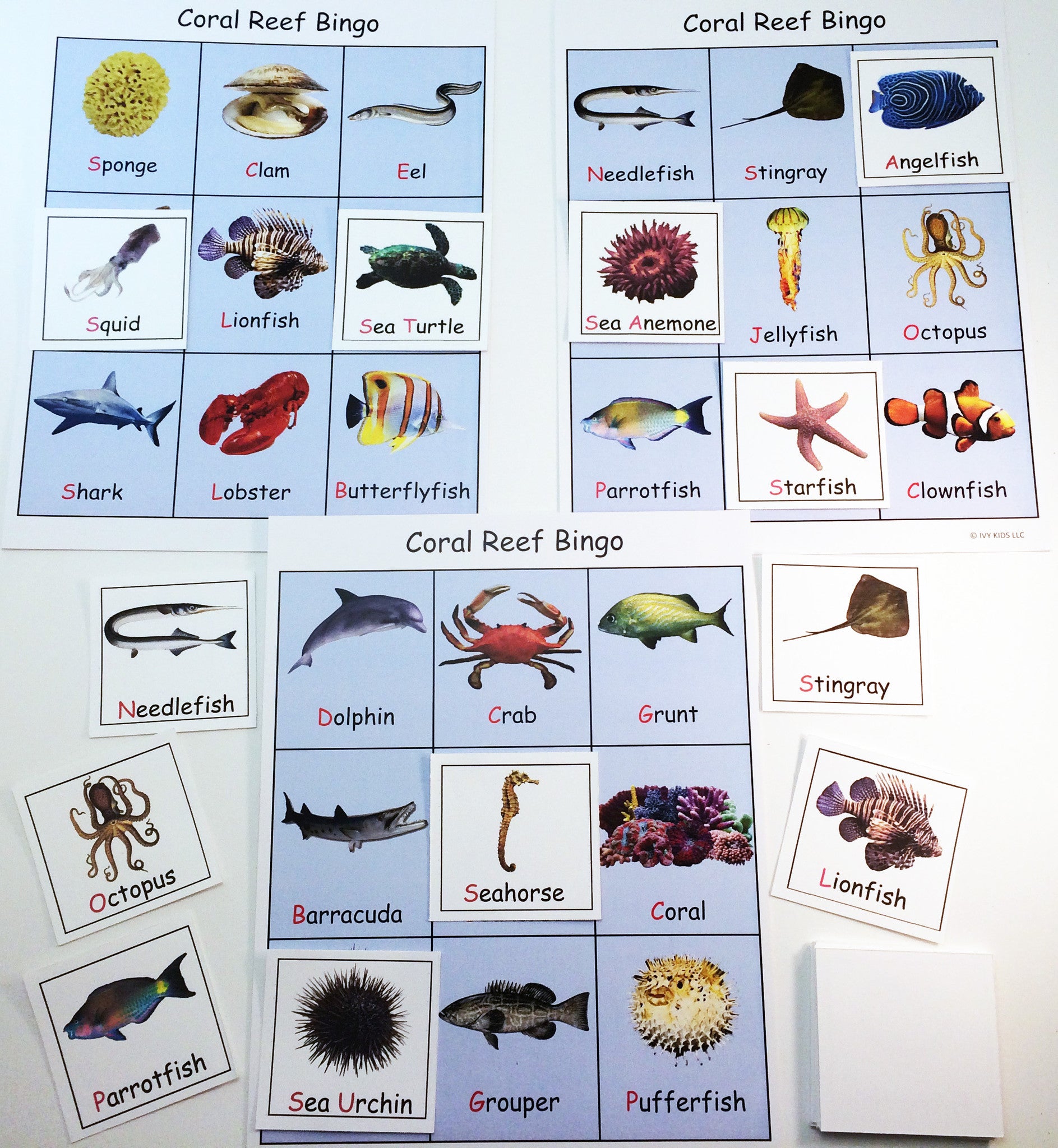 Sea Creature Bingo game inspired by the book Over in an Ocean in a Coral Reef.