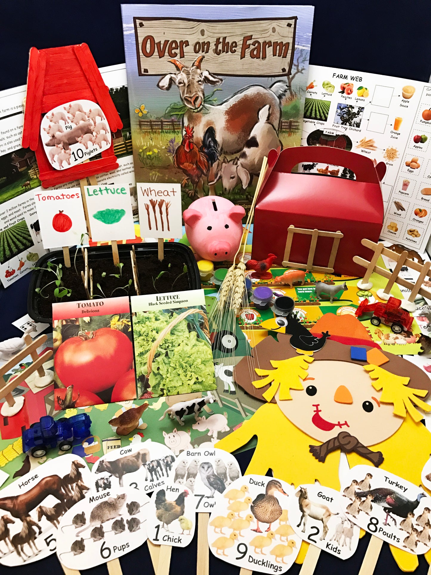 STEAM activities inspired by the children's book Over on the Farm