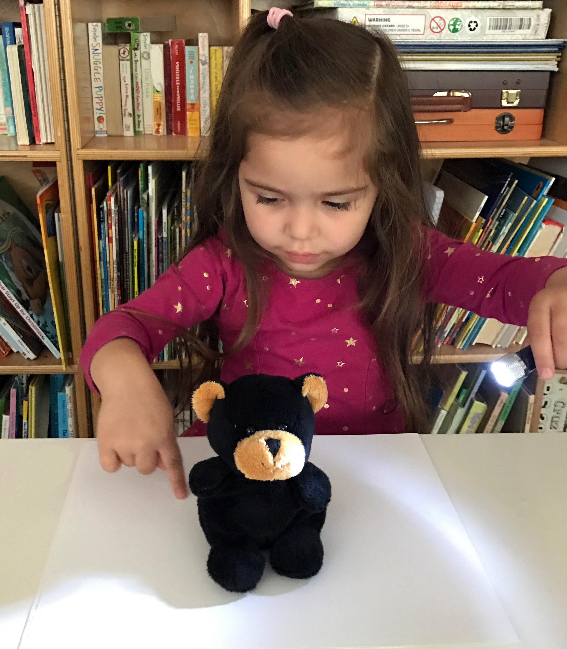 bear shadow experiment for kids