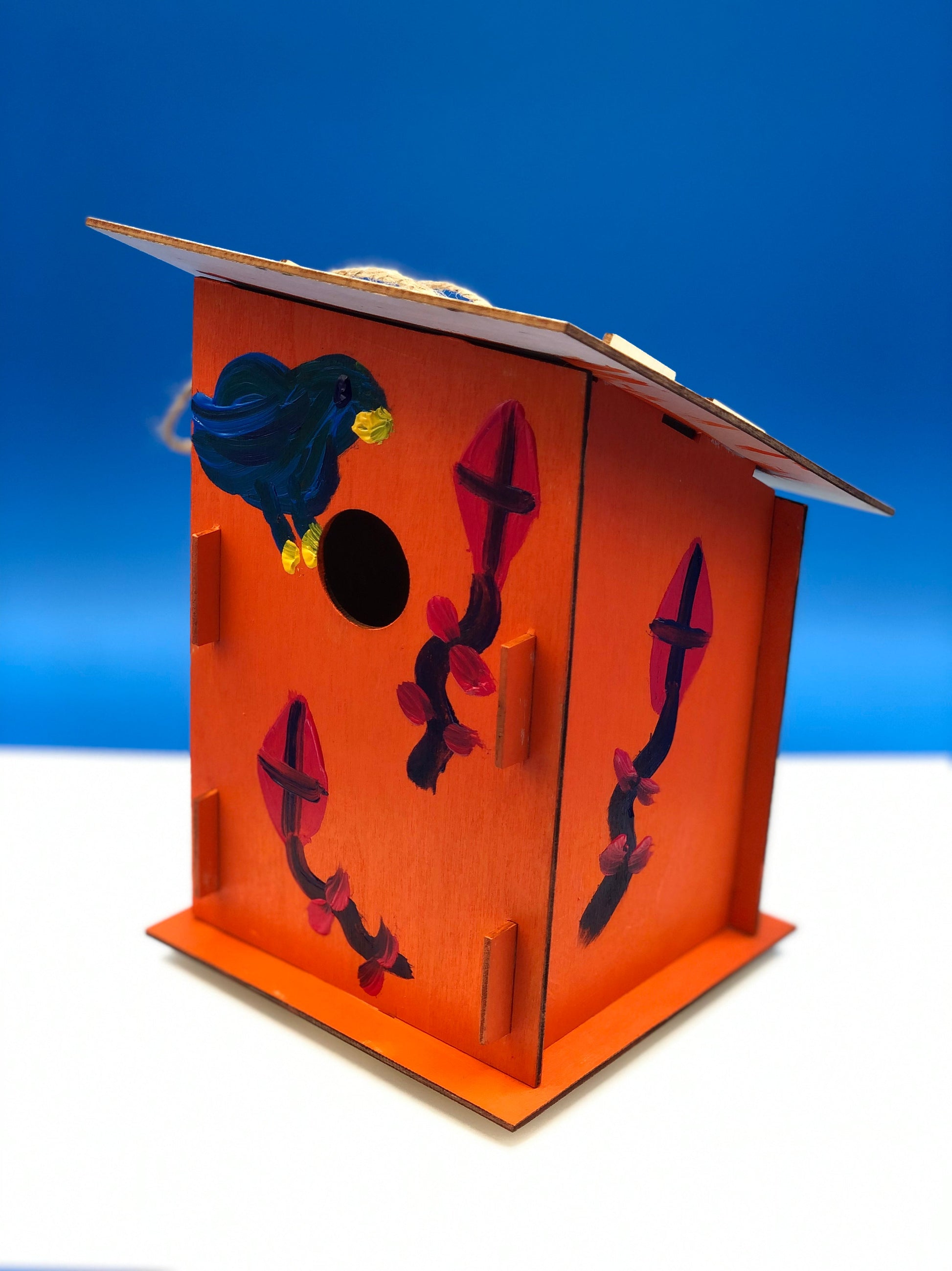 Decorate a birdhouse Kids STEM