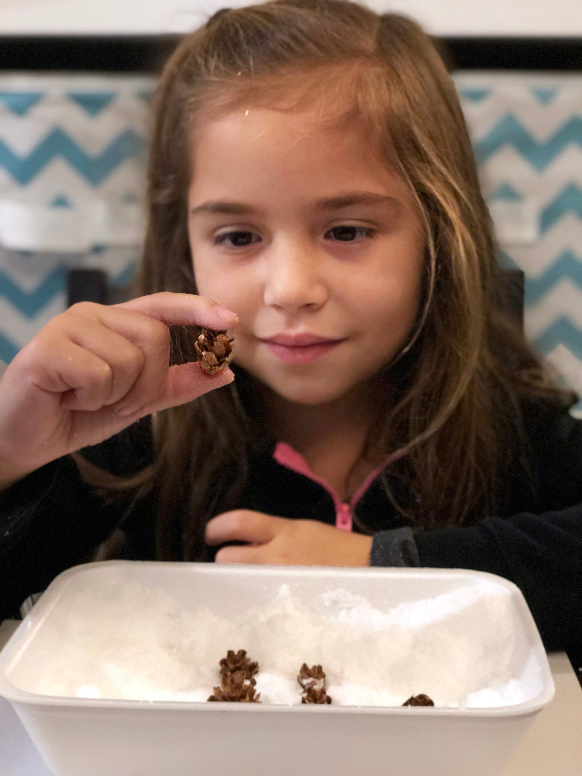 Make play snow STEM activity pine cones