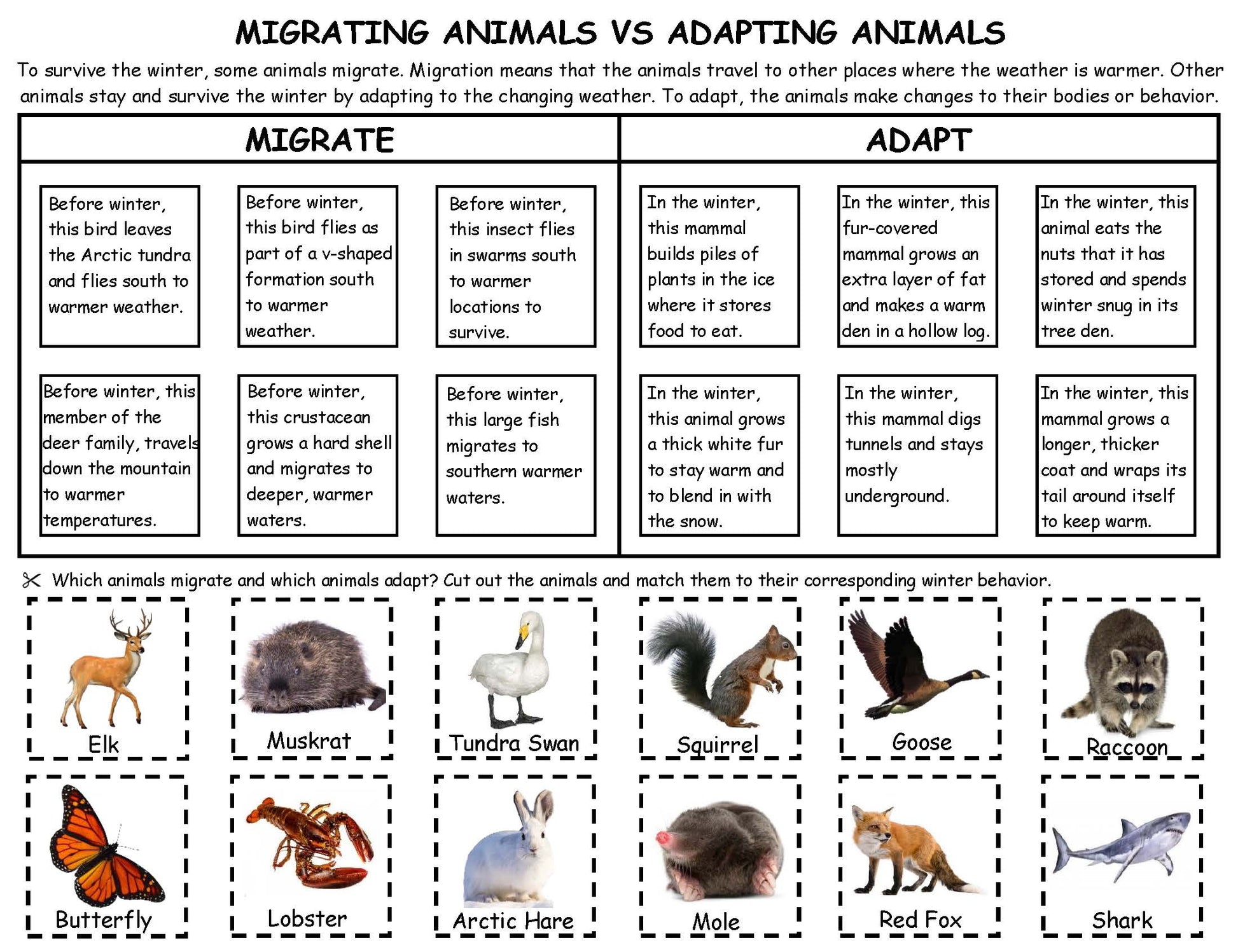Migrating vs Adapting animals game kids