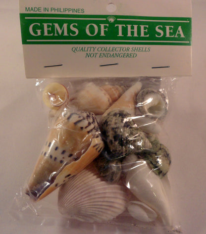 Bag of shells - A House for Hermit Crab - Ivy Kids subscription box activities.