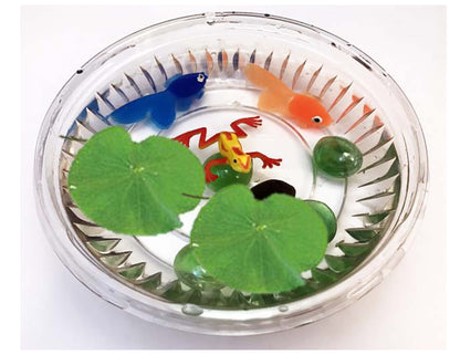 Grow Your Own Lily Pad Pond