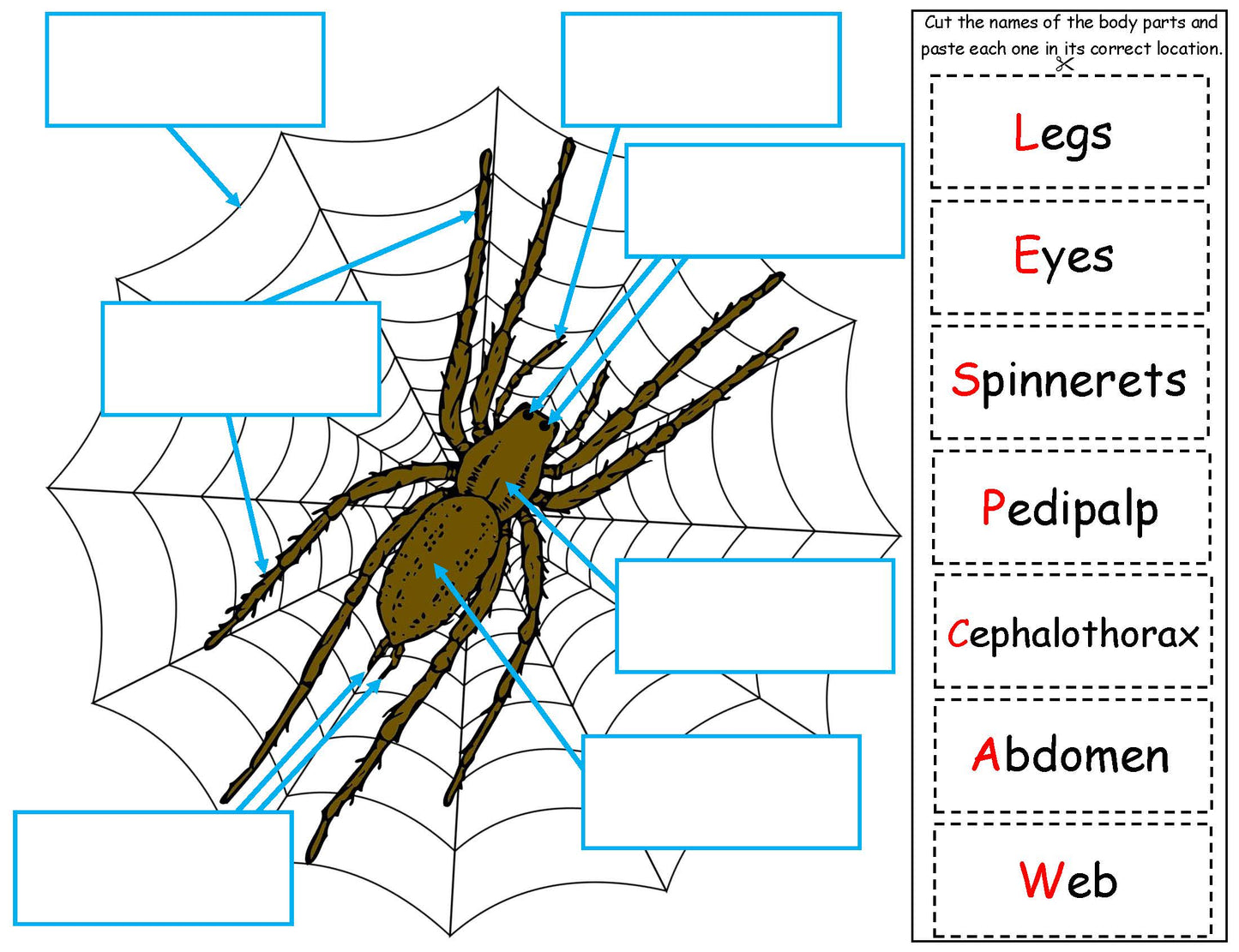 Ivy Kids kit - Aaaarrgghh Spider!