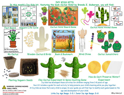 Cactus and desert themed kids STEM activities