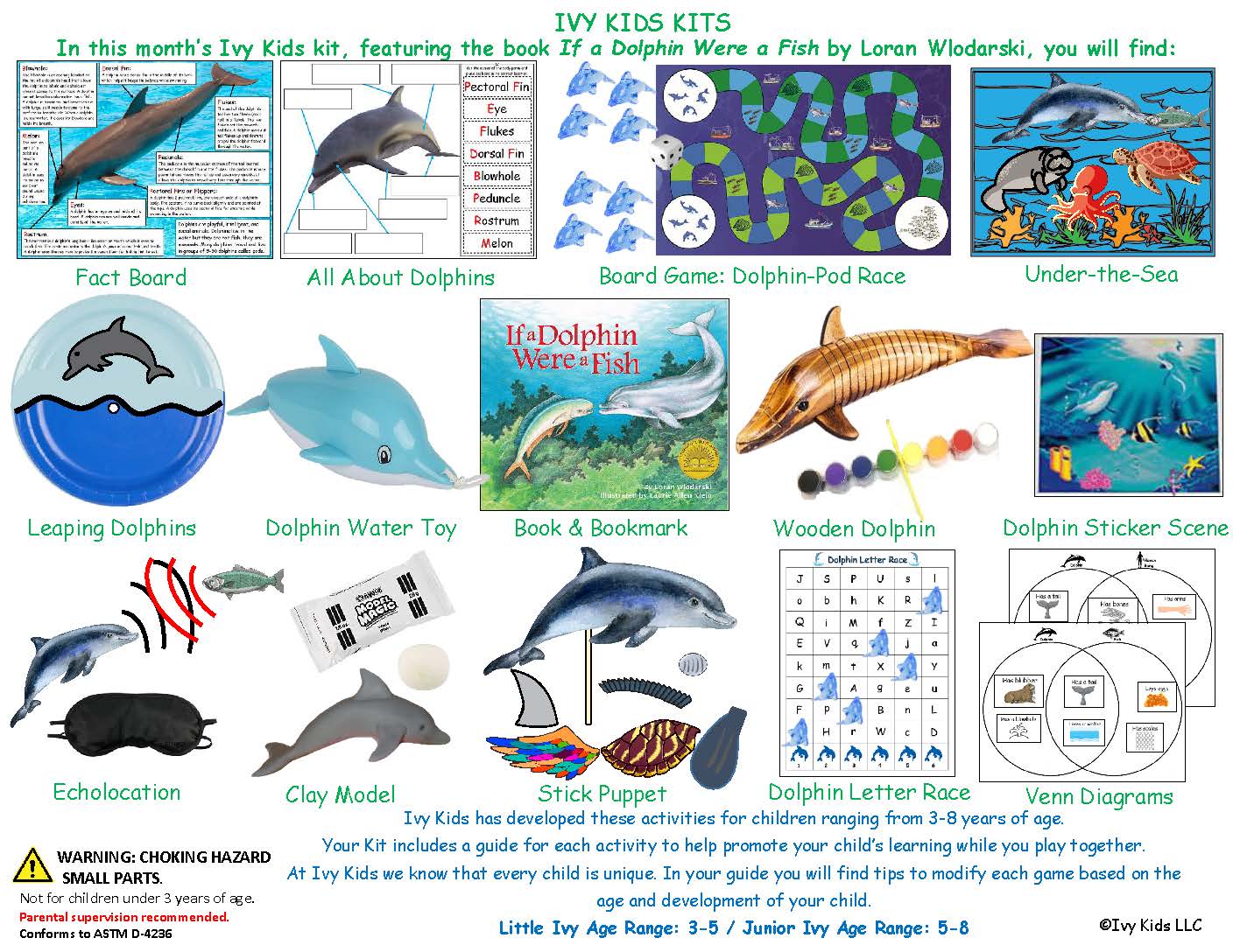 Dolphin themed activities STEM kids
